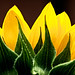 Jim Summers Photo 7