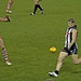 Scott Collingwood Photo 3