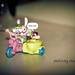 Polly Goins Photo 7