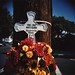 Matt Elder Photo 4