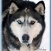 Mickey Long Photo 9