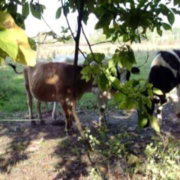 Tim Moose Photo 22