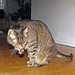 Samantha May Photo 4