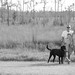 Deborah Mitchell Photo 12