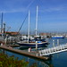 Marina Ventura Photo 8