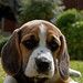 Holly Meadows Photo 3