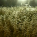 Misty Webb Photo 11