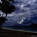 Summer Shirey Photo 1