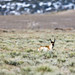 Lois Crane Photo 9