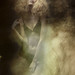 Alex Gillott Photo 8