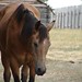 Debra Wolf Photo 11