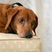 Terry Livers Photo 7