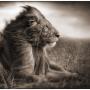 Sarah Michaelson Photo 10