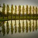 Robert Herbst Photo 14