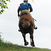 David Kieffer Photo 17