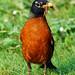 Robin Stanley Photo 12