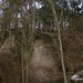 Darin Soll Photo 7