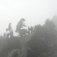 Jordan Turcotte Photo 10