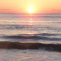 Tina Adams Photo 16
