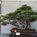 Chunlin Hu Photo 6