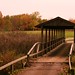 Holly Meadows Photo 8