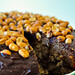 David Cake Photo 2