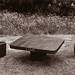 Tania Stone Photo 4