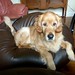 Peggy Bean Photo 12
