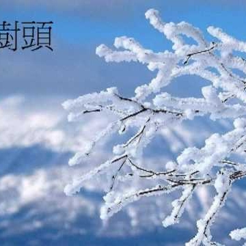 Sharon Mok Photo 17