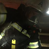 David Halas Photo 16