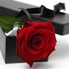 Arun Bhatnagar Photo 7
