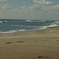 Lori Beckwith Photo 25