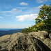 Mary Rock Photo 17