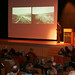 Shawn Stein Photo 10