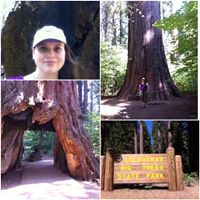 Jennifer Crone Photo 26