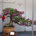 Chunlin Hu Photo 7