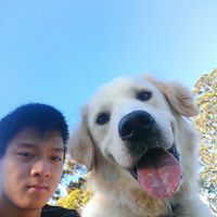 Austin Yu Photo 22