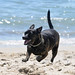 Rudy Long Photo 9