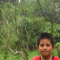 Felix Aurelio Photo 2
