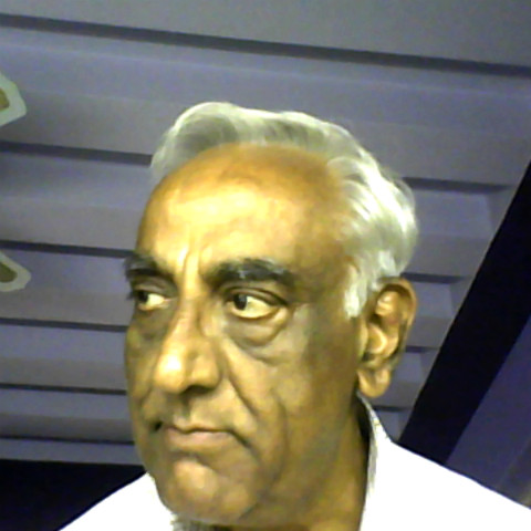 Chandra Patel Photo 16