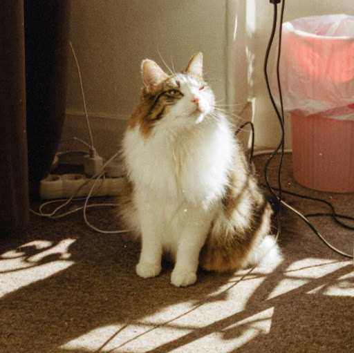 Ming Pang Photo 17