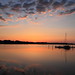Dawn Dare Photo 3