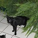 Lucy Plant Photo 6