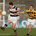 Neil Horgan Photo 3