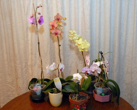 Judith Koch Photo 21