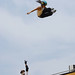 Matt Voelker Photo 7