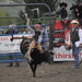 Seth Jackson Photo 10