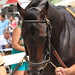 Chad Paddock Photo 6