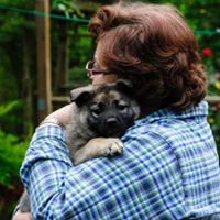 Diane Owenby Photo 1