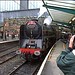 Tom Quayle Photo 7
